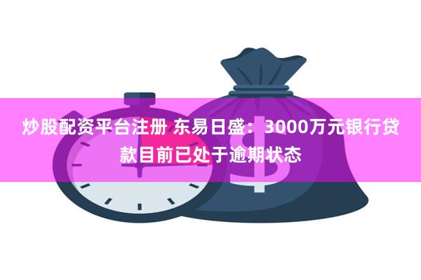 炒股配资平台注册 东易日盛：3000万元银行贷款目前已处