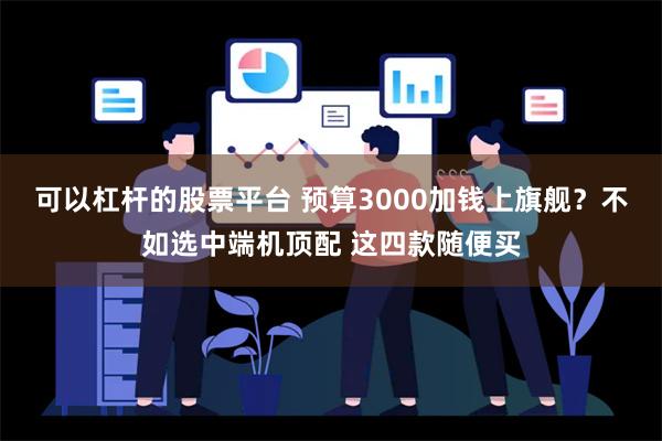 可以杠杆的股票平台 预算3000加钱上旗舰？不如选中端机顶配