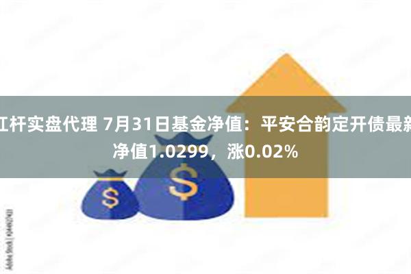 杠杆实盘代理 7月31日基金净值：平安合韵定开债最新净值1.0299，涨0.02%