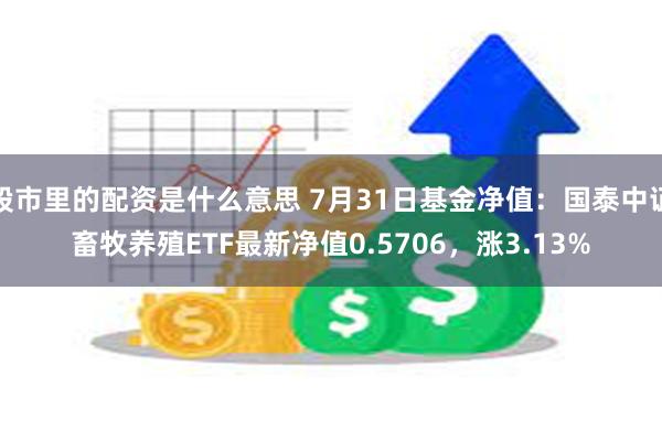 股市里的配资是什么意思 7月31日基金净值：国泰中证畜牧养殖ETF最新净值0.5706，涨3.13%