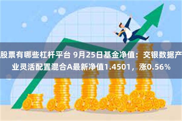 股票有哪些杠杆平台 9月25日基金净值：交银数据产业灵活