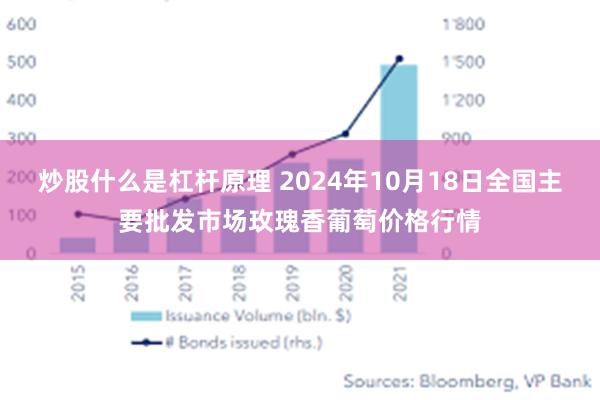 炒股什么是杠杆原理 2024年10月18日全国主要批发市