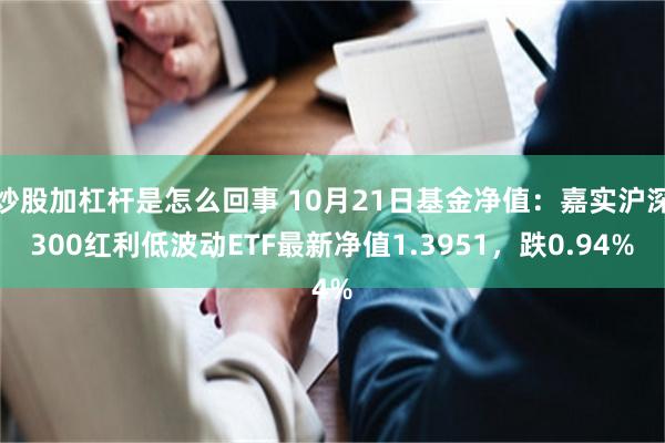 炒股加杠杆是怎么回事 10月21日基金净值：嘉实沪深30