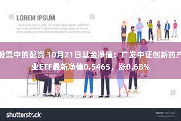 股票中的配资 10月21日基金净值：广发中证创新药产业E