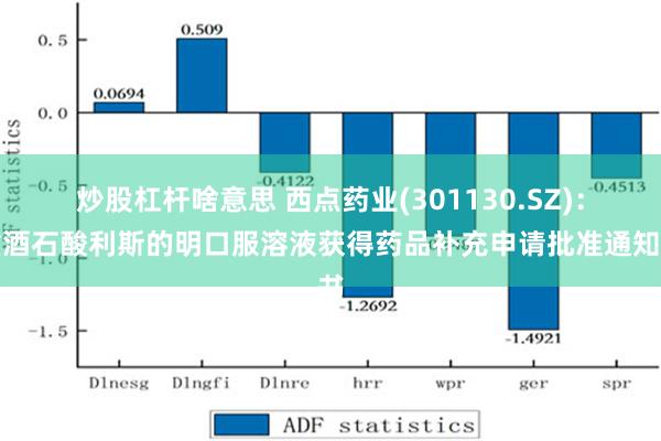 炒股杠杆啥意思 西点药业(301130.SZ)：重酒石酸利斯