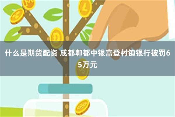 什么是期货配资 成都郫都中银富登村镇银行被罚65万元