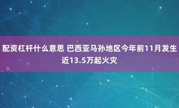 配资杠杆什么意思 巴西亚马孙地区今年前11月发生近13.5万起火灾