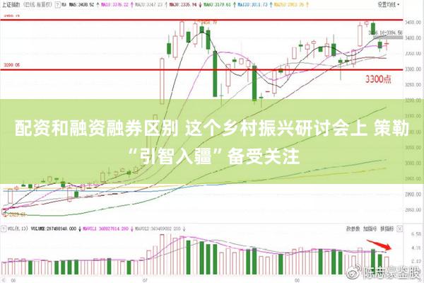 配资和融资融券区别 这个乡村振兴研讨会上 策勒“引智入疆”备受关注