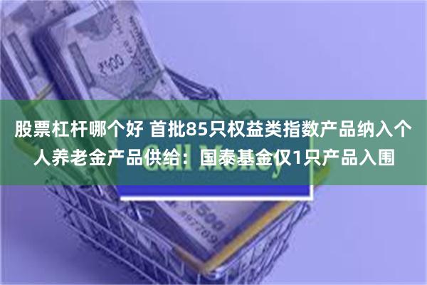 股票杠杆哪个好 首批85只权益类指数产品纳入个人养老金产品供给：国泰基金仅1只产品入围