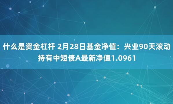 什么是资金杠杆 2月28日基金净值：兴业90天滚动持有中短债A最新净值1.0961