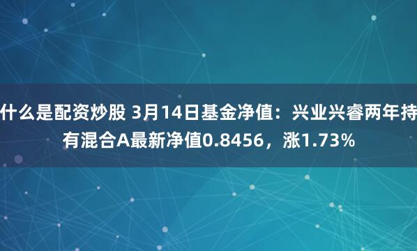 什么是配资炒股 3月14日基金净值：兴业兴睿两年持有混合A最新净值0.8456，涨1.73%