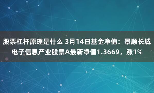 股票杠杆原理是什么 3月14日基金净值：景顺长城电子信息产业股票A最新净值1.3669，涨1%