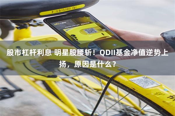 股市杠杆利息 明星股腰斩！QDII基金净值逆势上扬，原因是什么？